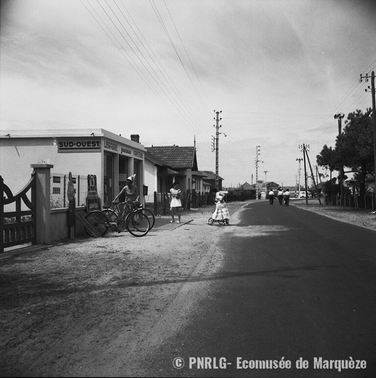 Fonds photographique Emile Vignes